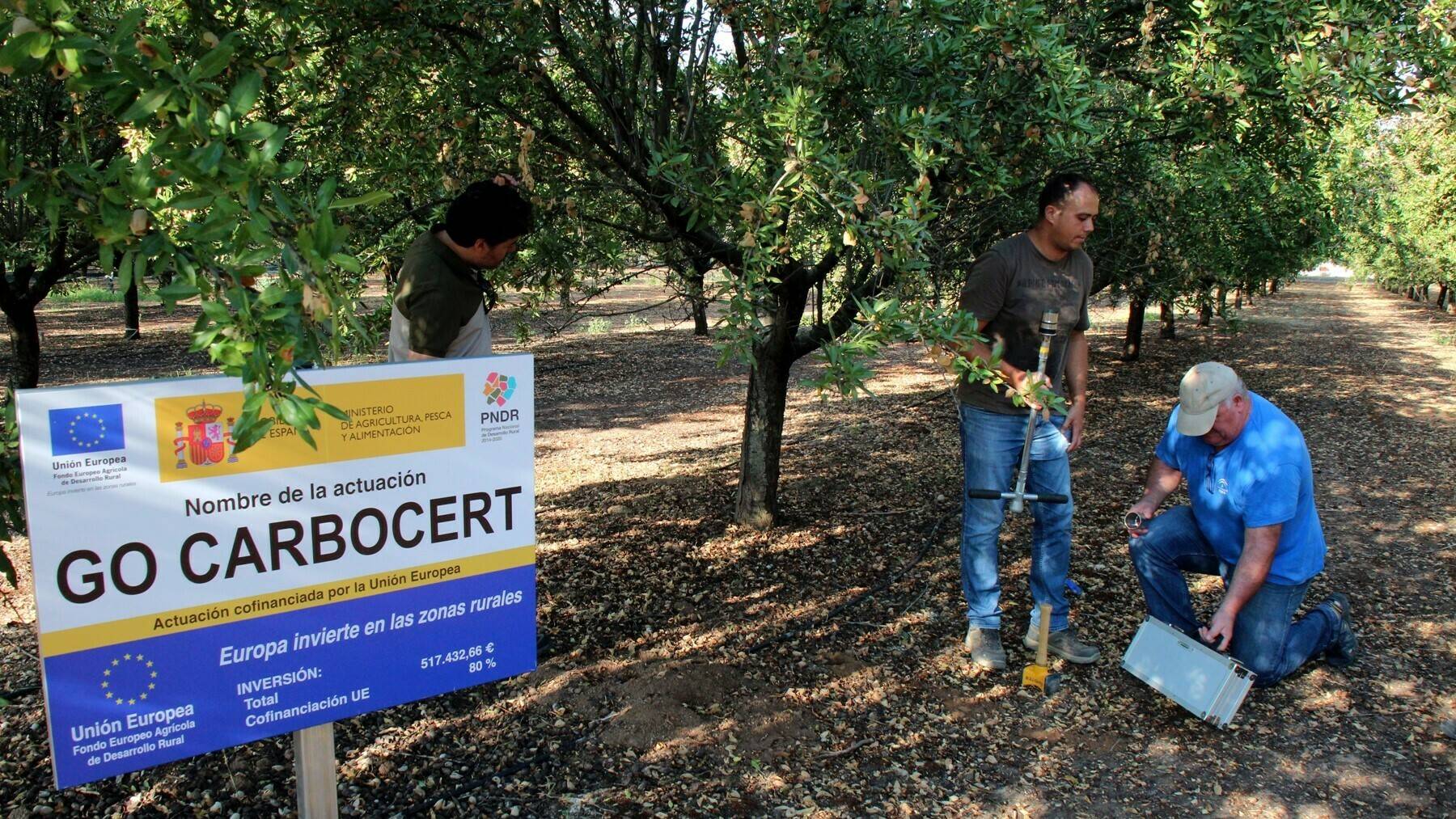 CarboCert-2.- Parcela de ensayos en Almendro|carbocert-consorcio|Carbocert-3.- Parcela de ensayos en olivar|CarboCert-4.- Parcela de ensayos de arroz|CarboCert-5.-en la COP25